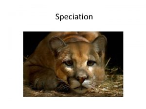 Speciation What is a Species Species All members