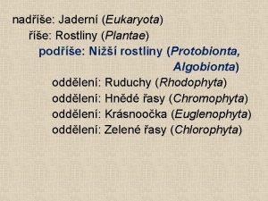 nade Jadern Eukaryota e Rostliny Plantae pode Ni