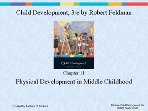 Child Development 3e by Robert Feldman Chapter 11