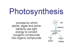 Photosynthesis process by which plants algae and some