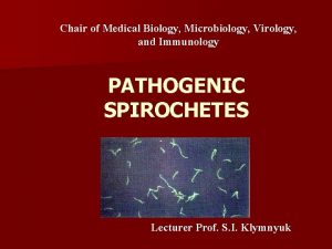 Chair of Medical Biology Microbiology Virology and Immunology