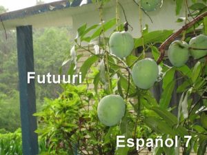 Futuuri