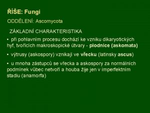 E Fungi ODDLEN Ascomycota ZKLADN CHARAKTERISTIKA pi pohlavnm