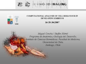 COMPUTATIONAL ANALYSIS OF CELL BEHAVIOUR IN DEVELOPING EMBRYOS