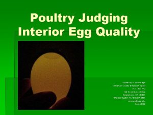 Poultry Judging Interior Egg Quality Created by Connie