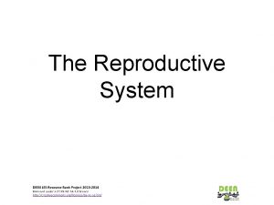 The Reproductive System Everyone is different Its important