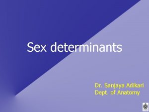 Sex determinants Dr Sanjaya Adikari Dept of Anatomy