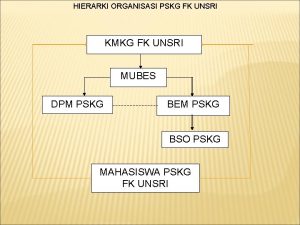 HIERARKI ORGANISASI PSKG FK UNSRI KMKG FK UNSRI