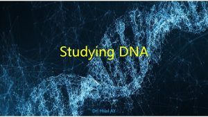 Studying DNA Dr Hilal AY Enzymes for DNA