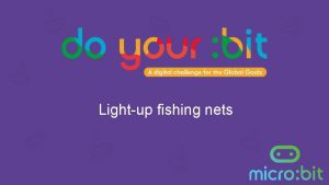 Lightup fishing nets Bycatch What is bycatch Why