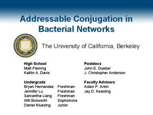 Addressable Conjugation in Bacterial Networks The University of