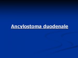 Ancylostoma duodenale taxonomy