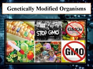 Genetically Modified Organisms Outline What are Genetically Modified