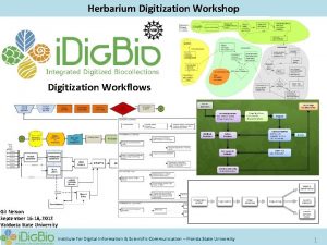Herbarium Digitization Workshop Digitization Workflows Gil Nelson September
