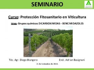 SEMINARIO Curso Proteccin Fitosanitario en Viticultura TEMA Grupos