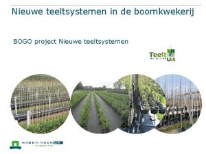 Nieuwe teeltsystemen in de boomkwekerij Irrigatiesystemen en sensoren