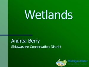 Wetlands Andrea Berry Shiawassee Conservation District Wetlands n