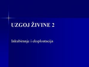 UZGOJ IVINE 2 Inkubiranje i eksploatacija n Priplodna