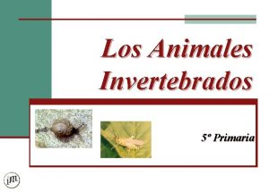 Los Animales Invertebrados 5 Primaria Animales Invertebrados NO