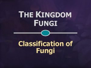 THE KINGDOM FUNGI Classification of Fungi CLASSIFICATION OF