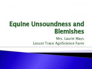 Equine Unsoundness and Blemishes Mrs Laurie Mays Locust