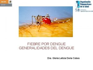 FIEBRE POR DENGUE GENERALIDADES DEL DENGUE Dra Gloria