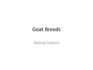 Goat Breeds Animal Science Sheep and Goat Terms