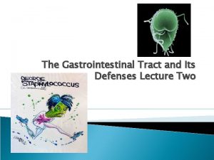 The Gastrointestinal Tract and Its Defenses Lecture Two