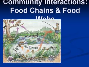 Community Interactions Food Chains Food Webs Classroom Rules