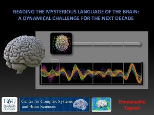 READING THE MYSTERIOUS LANGUAGE OF THE BRAIN A