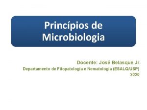 Princpios de Microbiologia Docente Jos Belasque Jr Departamento