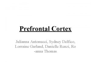 Prefrontal Cortex Julianna Antonucci Sydney Delfico Lorraine Garland