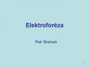 Elektroforza Petr Breinek 1 Elektroforza je analytick metoda