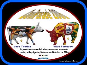 Vaca Taurina Vaca Portucow Exposio nas ruas de