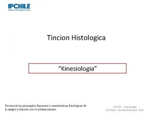 Tincion Histologica Kinesiologia Professor Vernica Pantoja Lic MSP