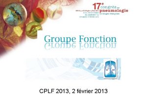 CPLF 2013 2 fvrier 2013 Objectifs du Groupe