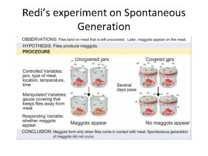 Redis experiment on Spontaneous Generation Development of a