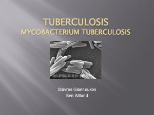 TUBERCULOSIS MYCOBACTERIUM TUBERCULOSIS Stavros Giannoukos Ben Altland Taxonomy