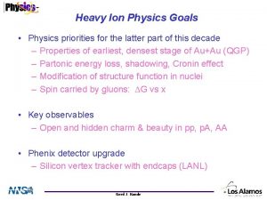 Heavy Ion Physics Goals Physics priorities for the