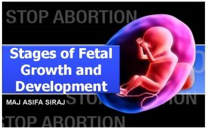 Stages of Fetal Growth and Development MAJ ASIFA