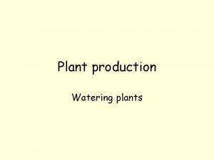 Plant production Watering plants Why do plants need