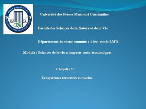 Universit des Frres Mentouri Constantine Facult des Sciences