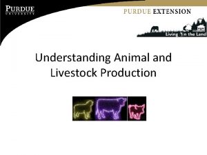 Understanding Animal and Livestock Production Matching Your Farm