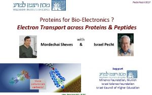 Pechtfest 6 2017 Proteins for BioElectronics Electron Transport
