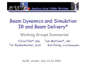 Beam Dynamics and Simulation IR and Beam Delivery