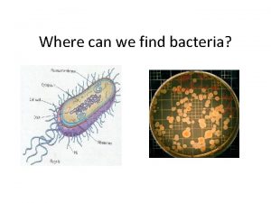 Where can we find bacteria How can you