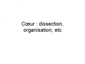 Cur dissection organisation etc Dissection dun cur doiseau