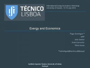 International Exergy Economics Workshop University of Sussex 13