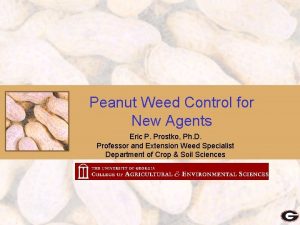 Peanut Weed Control for New Agents Eric P