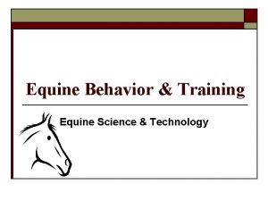Equine Behavior Training Equine Science Technology Equine Behavior